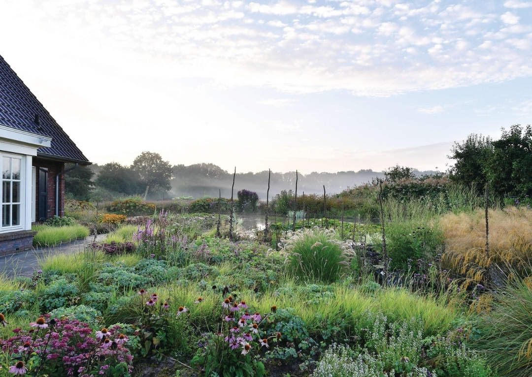 Untitled design (12)