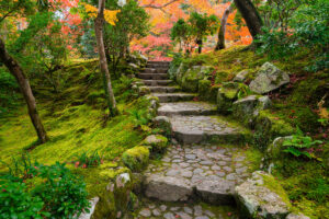 Japanese Gardens in Autumn